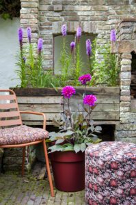 Roze Dahlia's op pot en Liatris in plantenbak