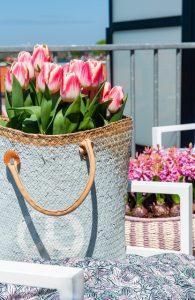 Tulipany w doniczce na balkonie i tarasie na dachu
